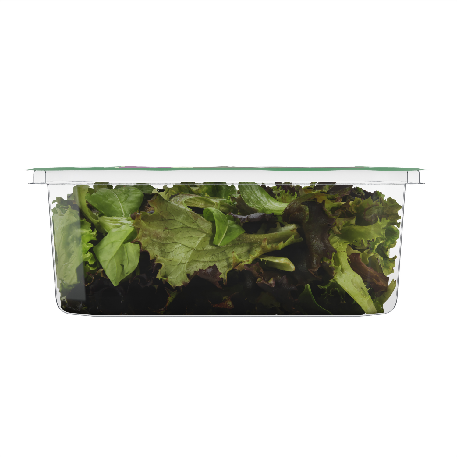 slide 2 of 6, Fresh from Meijer Spring Mix, 4 oz, 4 oz