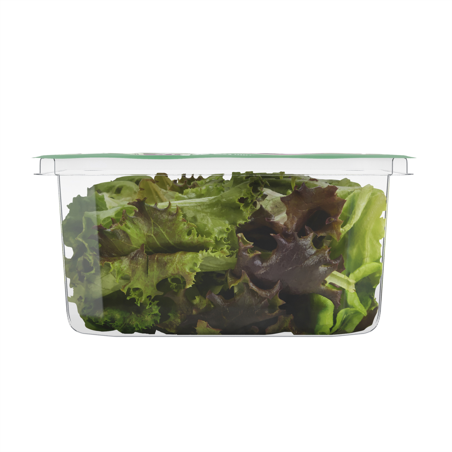 slide 5 of 6, Fresh from Meijer Spring Mix, 4 oz, 4 oz