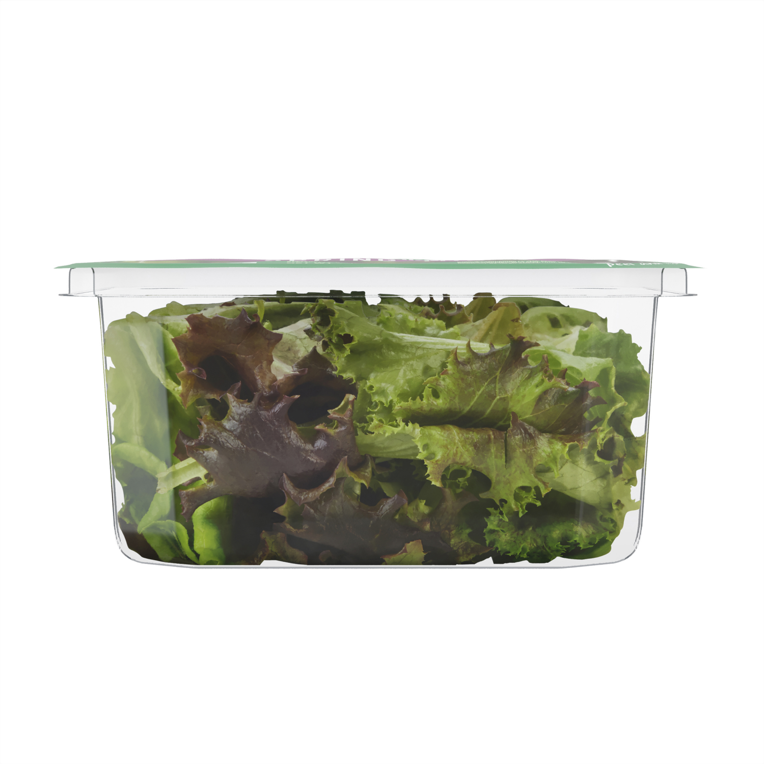 slide 6 of 6, Fresh from Meijer Spring Mix, 4 oz, 4 oz