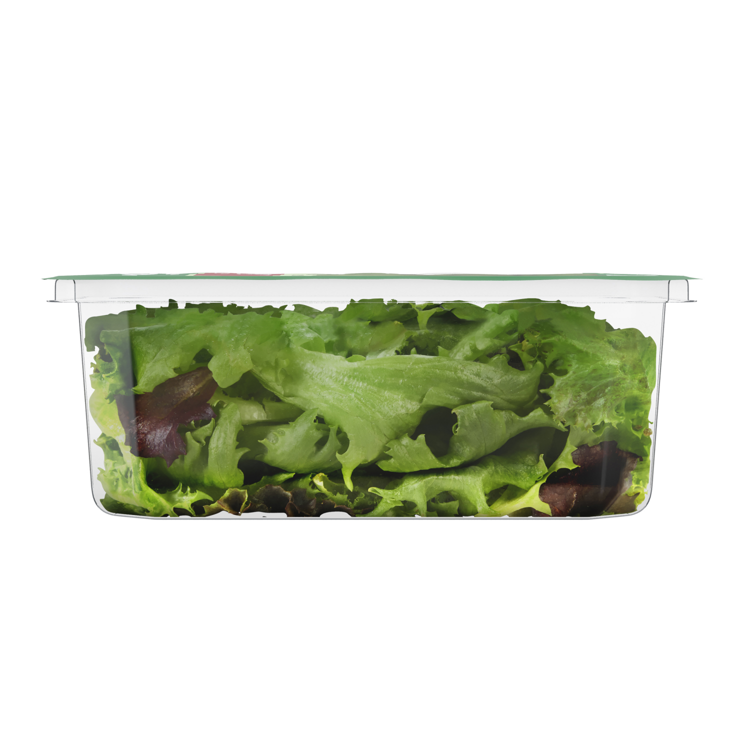 slide 2 of 6, Fresh from Meijer Baby Green Red Leaf Lettuce, 4 oz, 4 oz