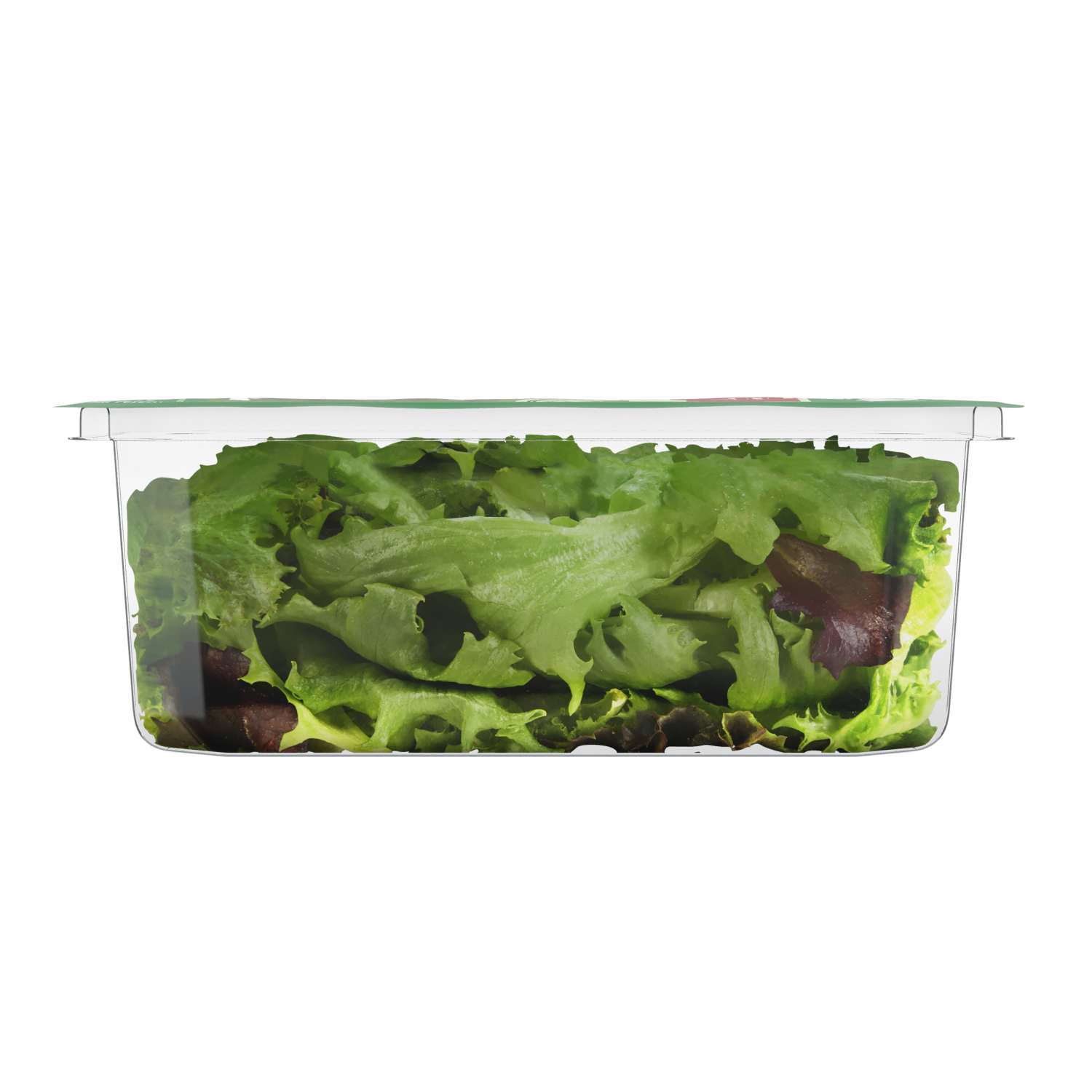 slide 4 of 6, Fresh from Meijer Baby Green Red Leaf Lettuce, 4 oz, 4 oz