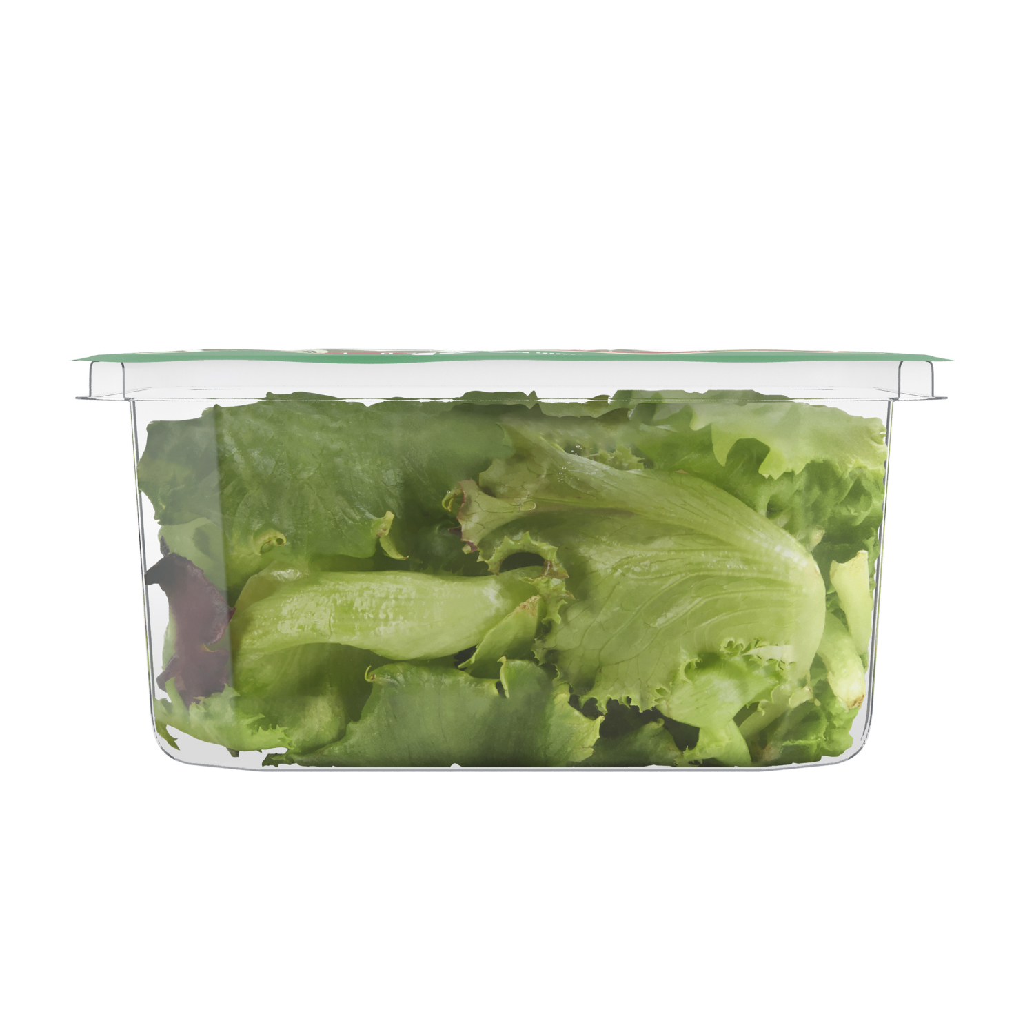 slide 6 of 6, Fresh from Meijer Baby Green Red Leaf Lettuce, 4 oz, 4 oz