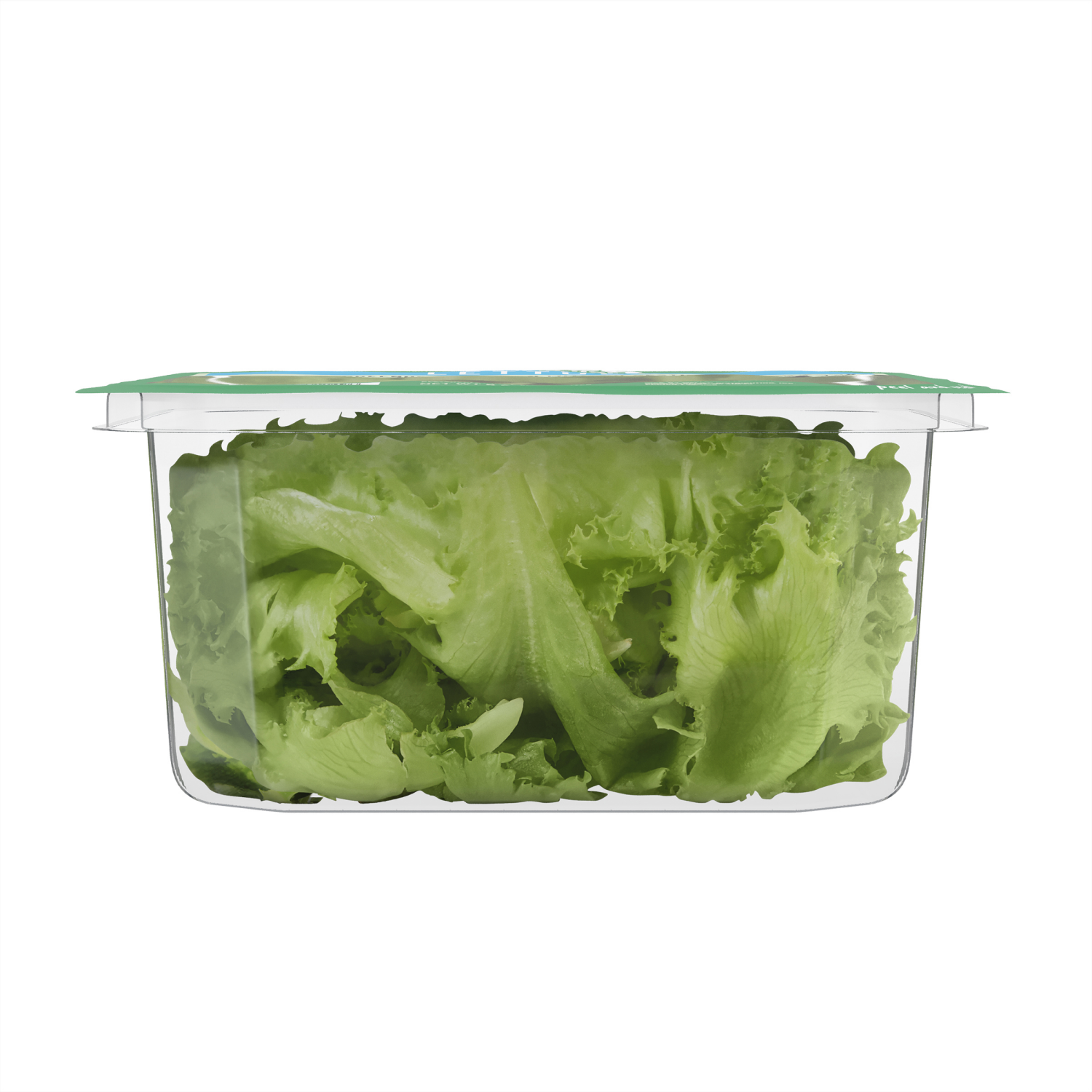 slide 5 of 6, Fresh from Meijer Baby Green Leaf Lettuce, 8 oz, 8 oz