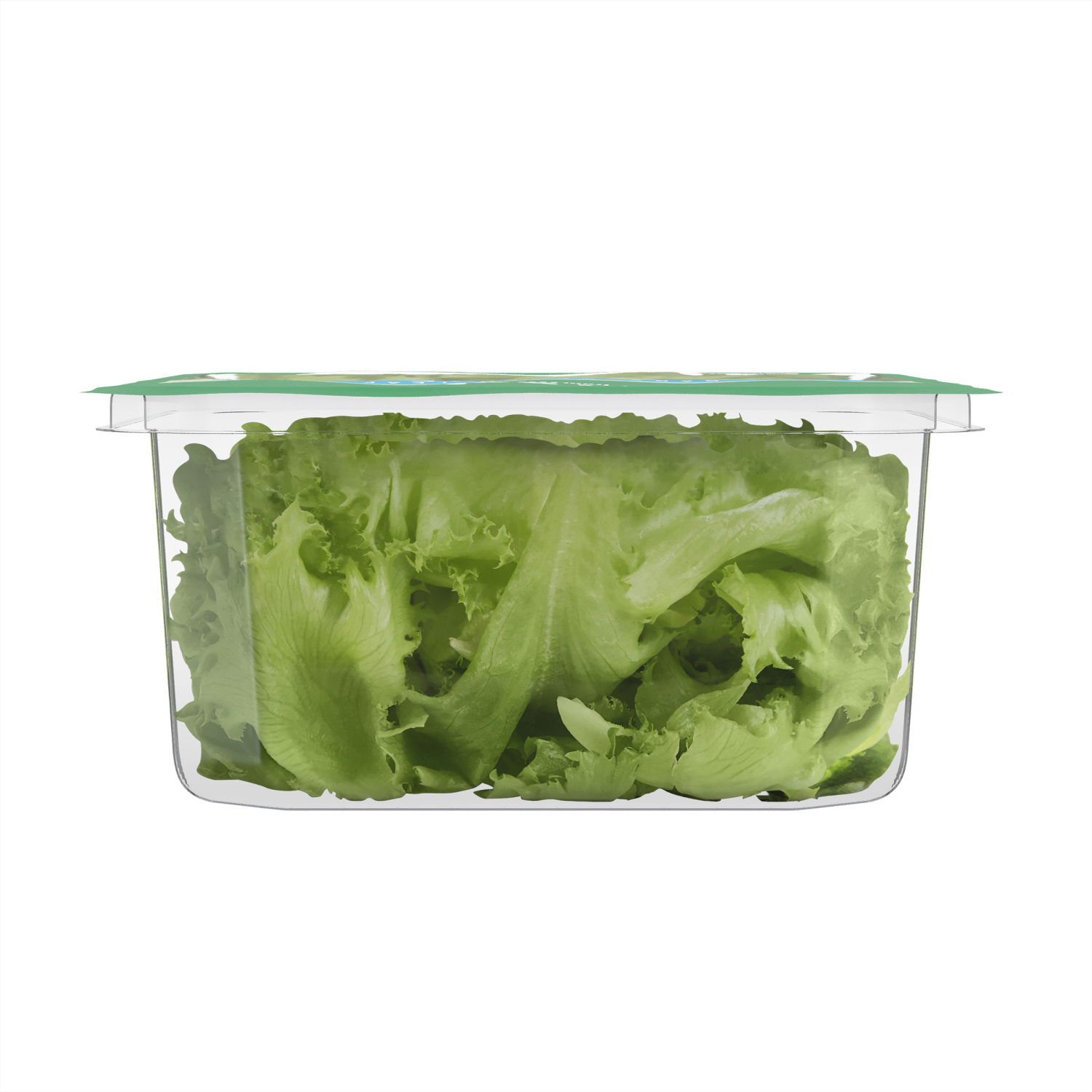 slide 6 of 6, Fresh from Meijer Baby Green Leaf Lettuce, 8 oz, 8 oz