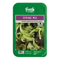 Fresh from Meijer Spring Mix, 8 oz