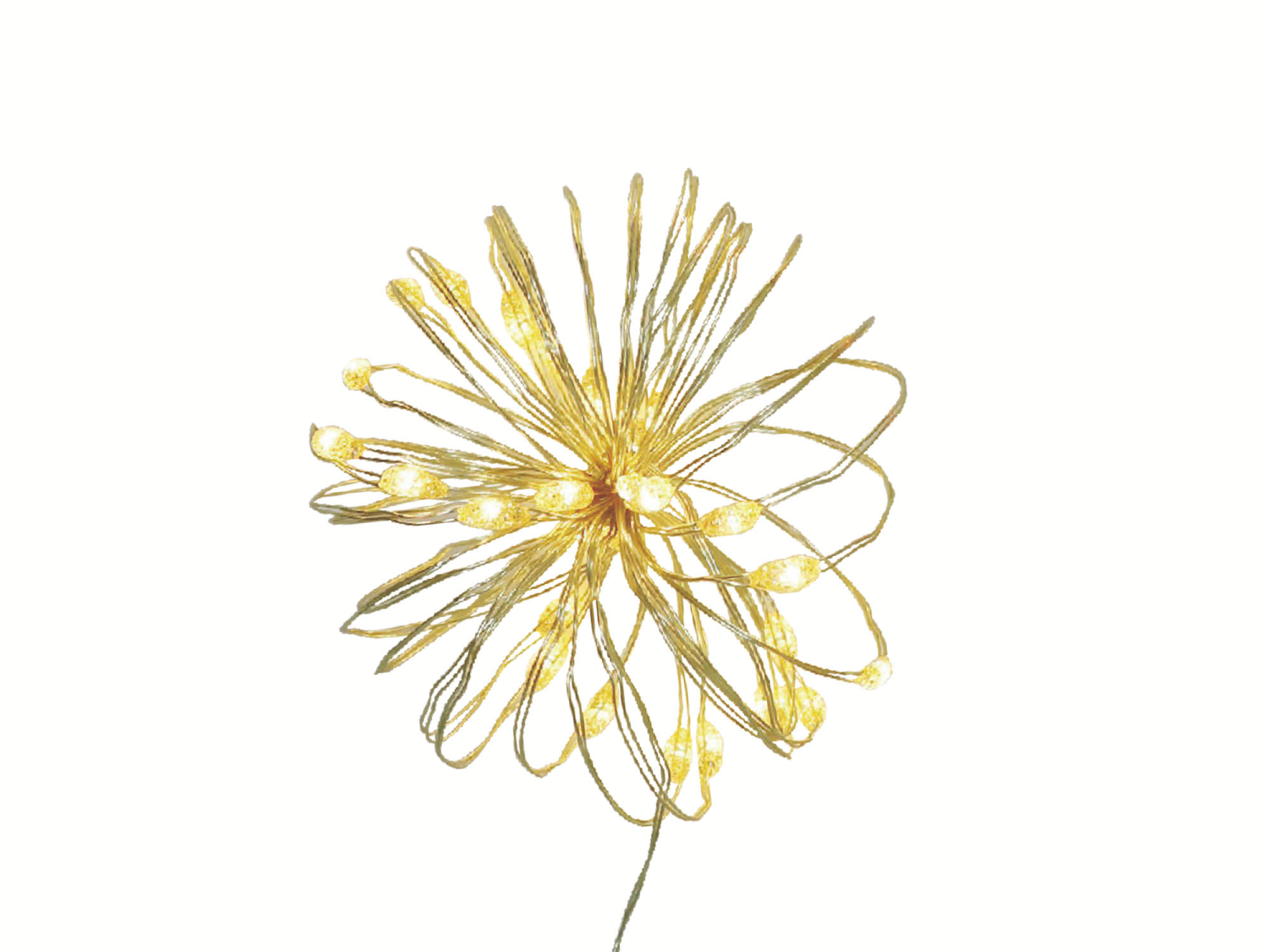 slide 2 of 6, December Home LED Slim Wire Lights, 10 Foot / 30 Count, Assorted Styles, 30 ct