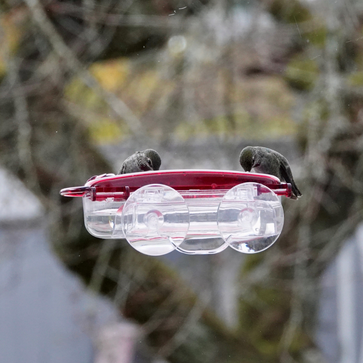 slide 3 of 3, Meijer Window Hummingbird Feeder, 1 ct