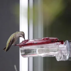 Meijer Window Hummingbird Feeder