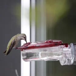 Meijer Window Hummingbird Feeder