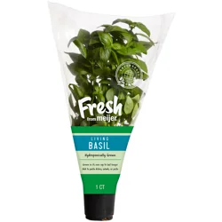 Fresh from Meijer Living Hydro Basil, 1 ct.