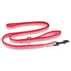Meijer Dog Leash Pink Bright Stripe