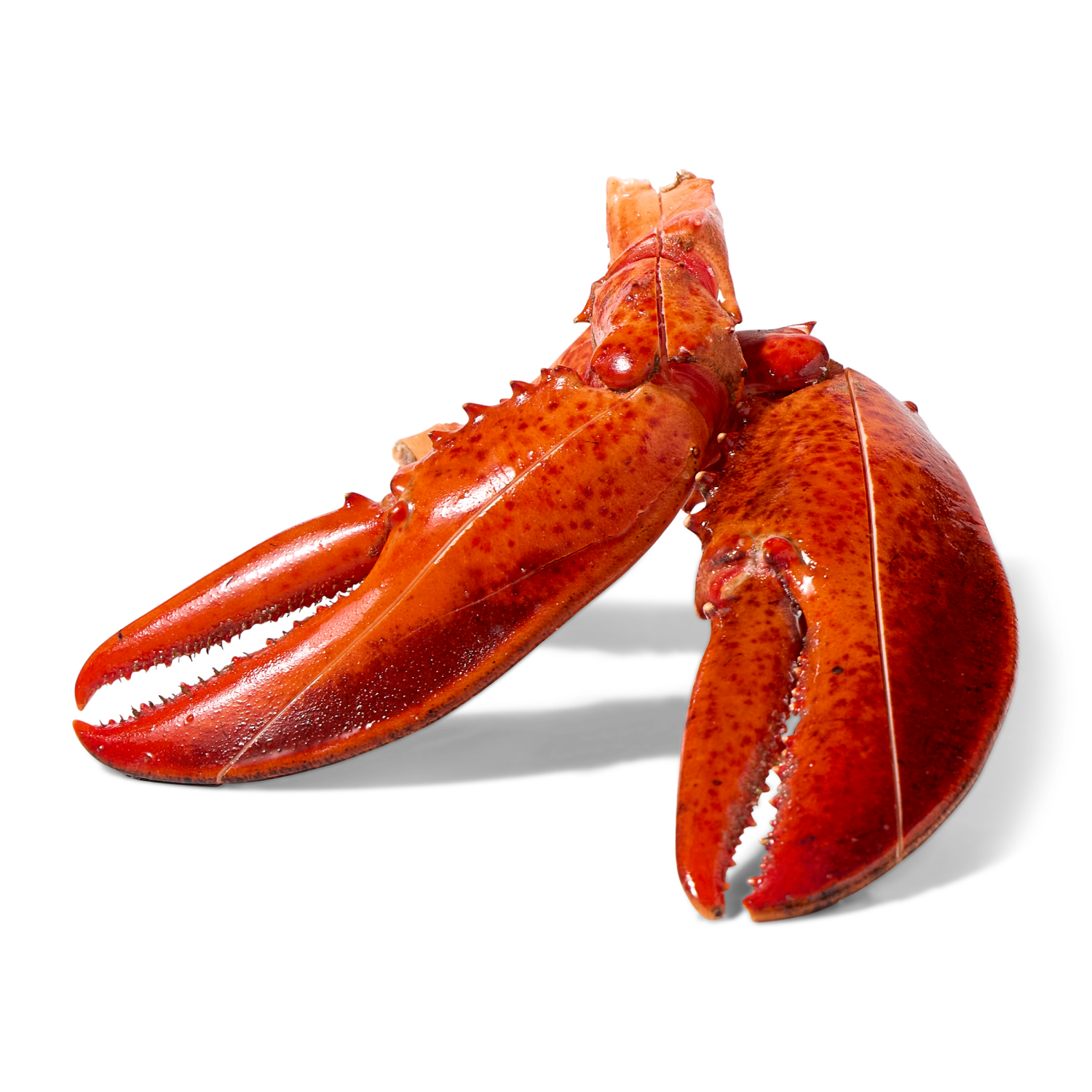 slide 4 of 5, Frederik's By Meijer Frederiks by Meijer Lobster Scored Arm and Claws Wild Caught, 1 lb, 1 lb