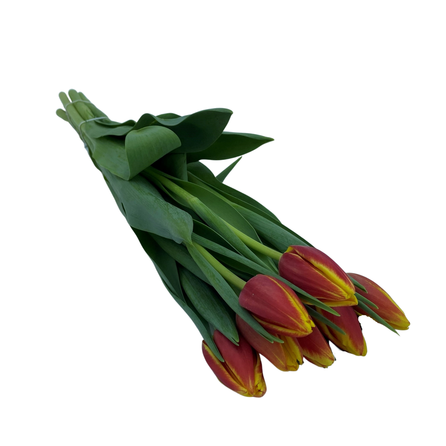 slide 2 of 6, Floral & Vine Tulip, Bunch, 1 ct