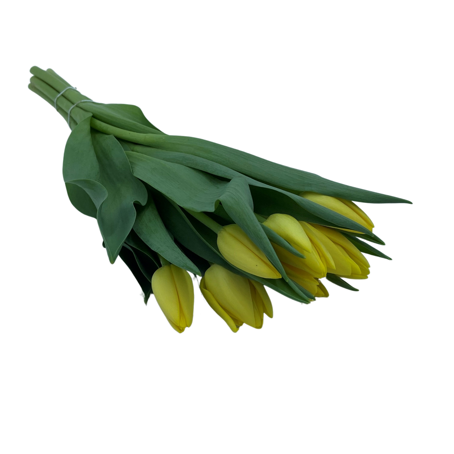 slide 4 of 6, Floral & Vine Tulip, Bunch, 1 ct