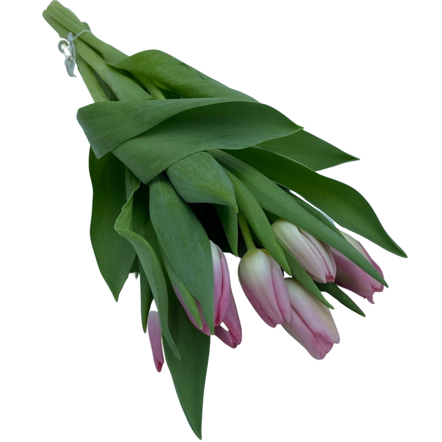 slide 5 of 6, Floral & Vine Tulip, Bunch, 1 ct