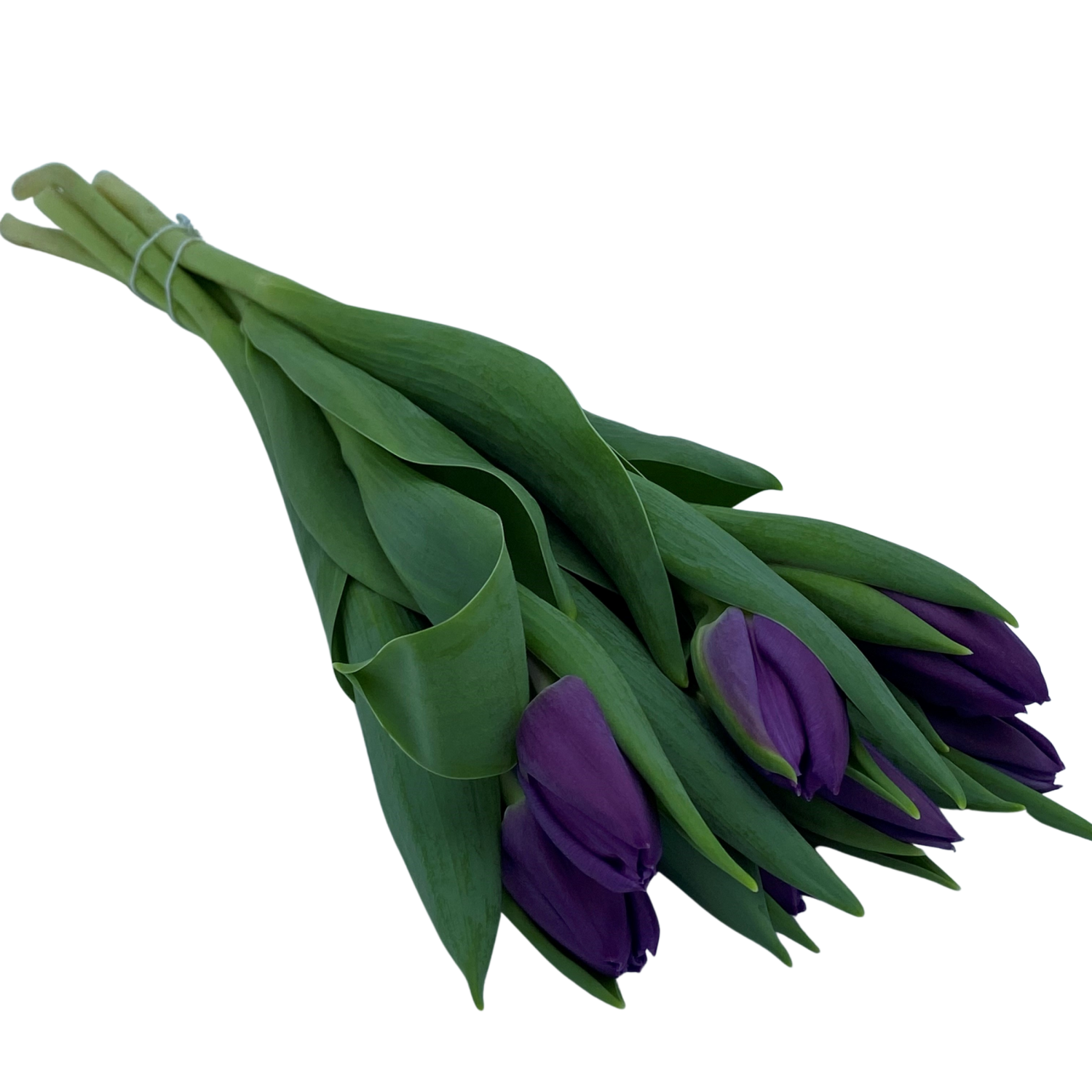 slide 6 of 6, Floral & Vine Tulip, Bunch, 1 ct