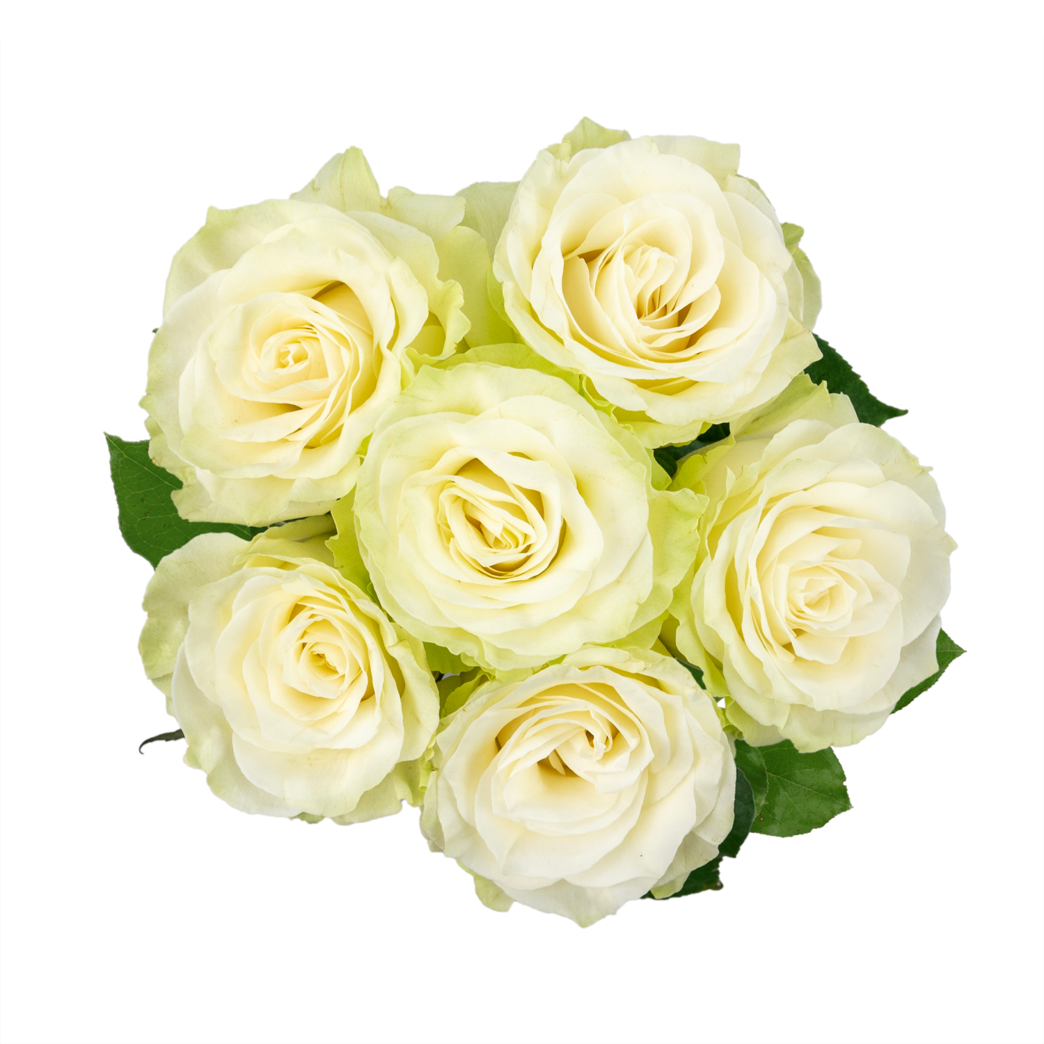 slide 4 of 5, Floral & Vine Rose, Bunch, 1 ct