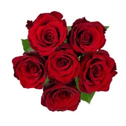 Floral & Vine Rose, Bunch