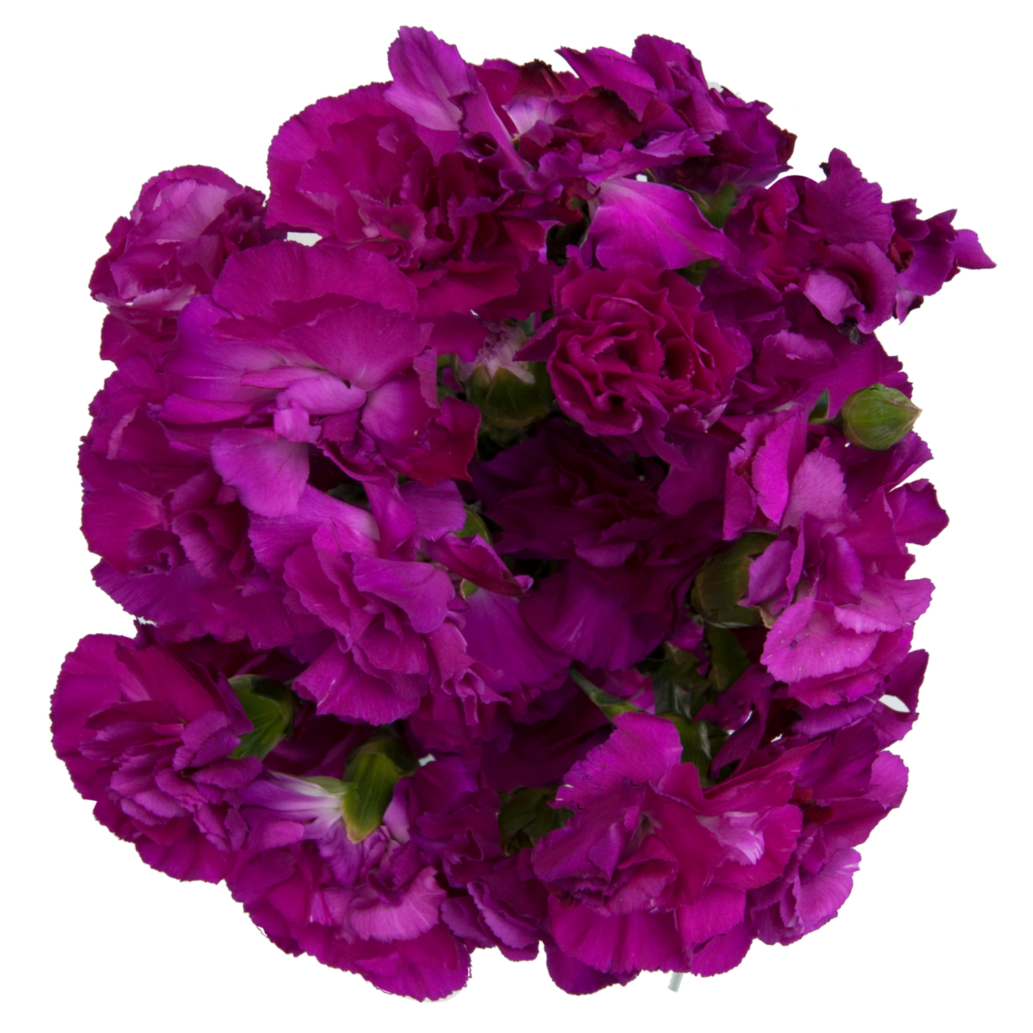 slide 2 of 4, Floral & Vine Mini Carnation, Bunch, 1 ct
