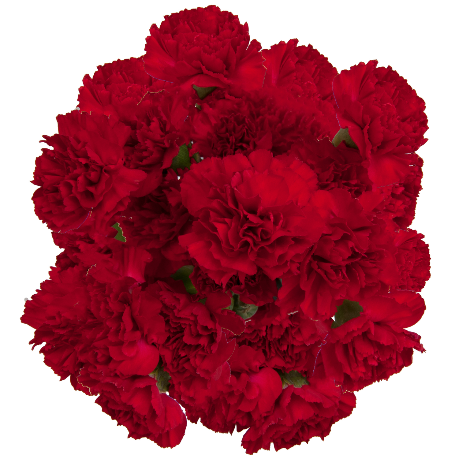 slide 4 of 4, Floral & Vine Mini Carnation, Bunch, 1 ct