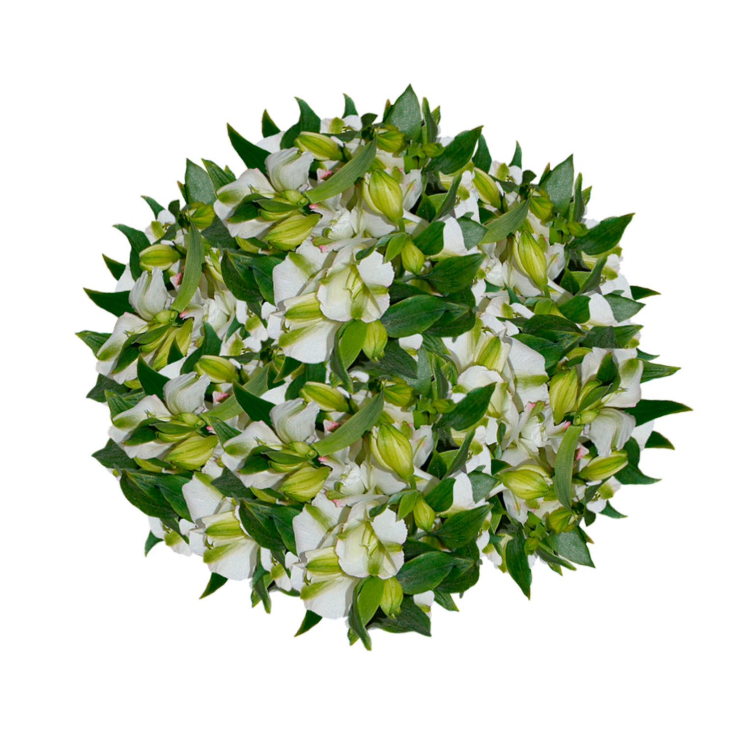 slide 2 of 5, Floral & Vine Charmelia, Bunch, 1 ct