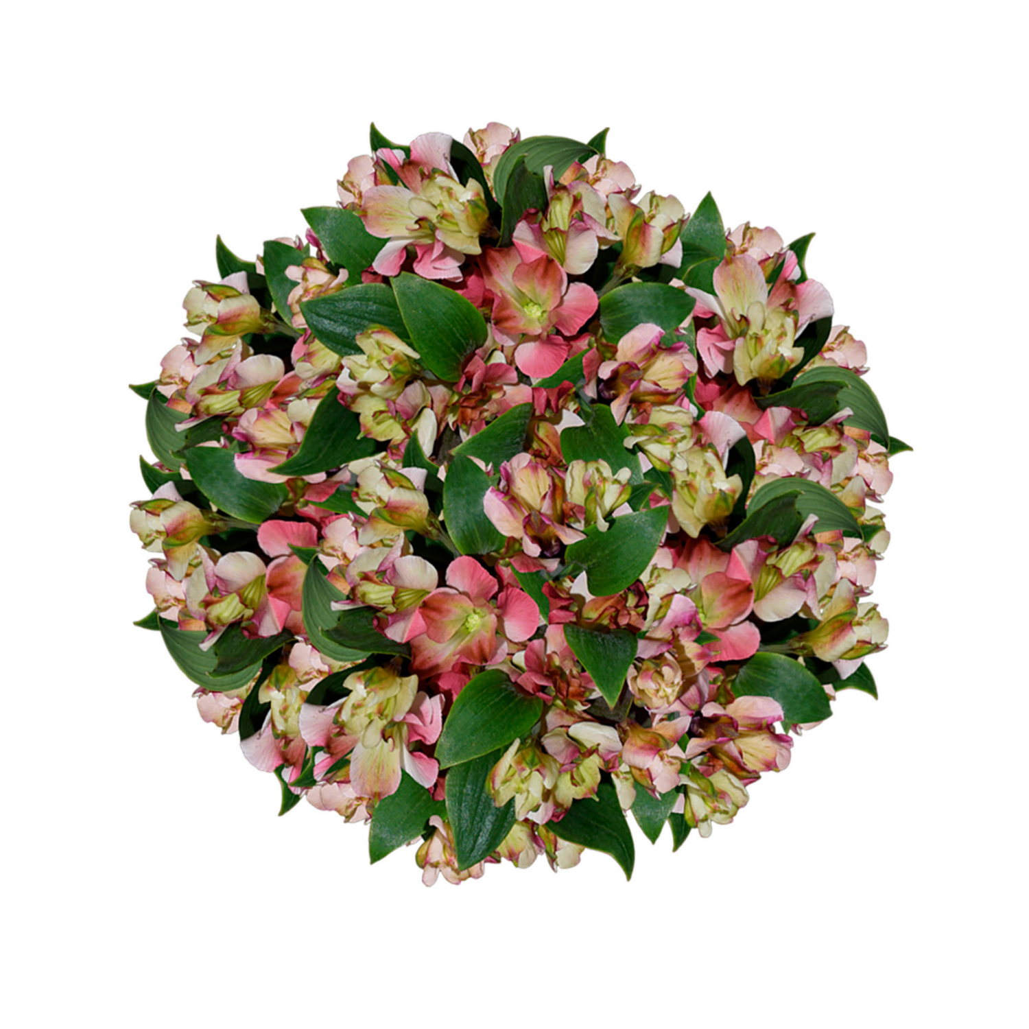 slide 5 of 5, Floral & Vine Charmelia, Bunch, 1 ct