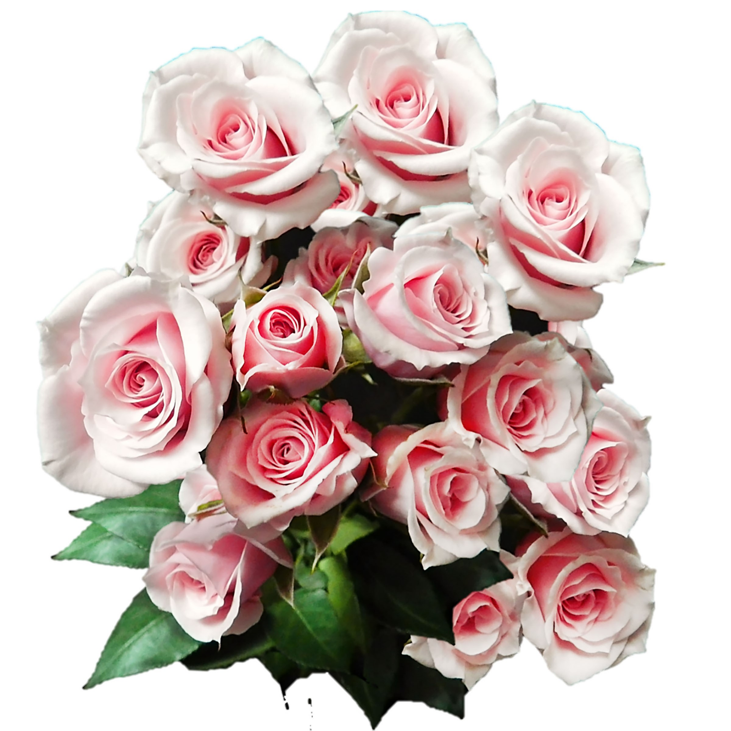 slide 2 of 7, Floral & Vine Spray Rose, Bunch, 1 ct