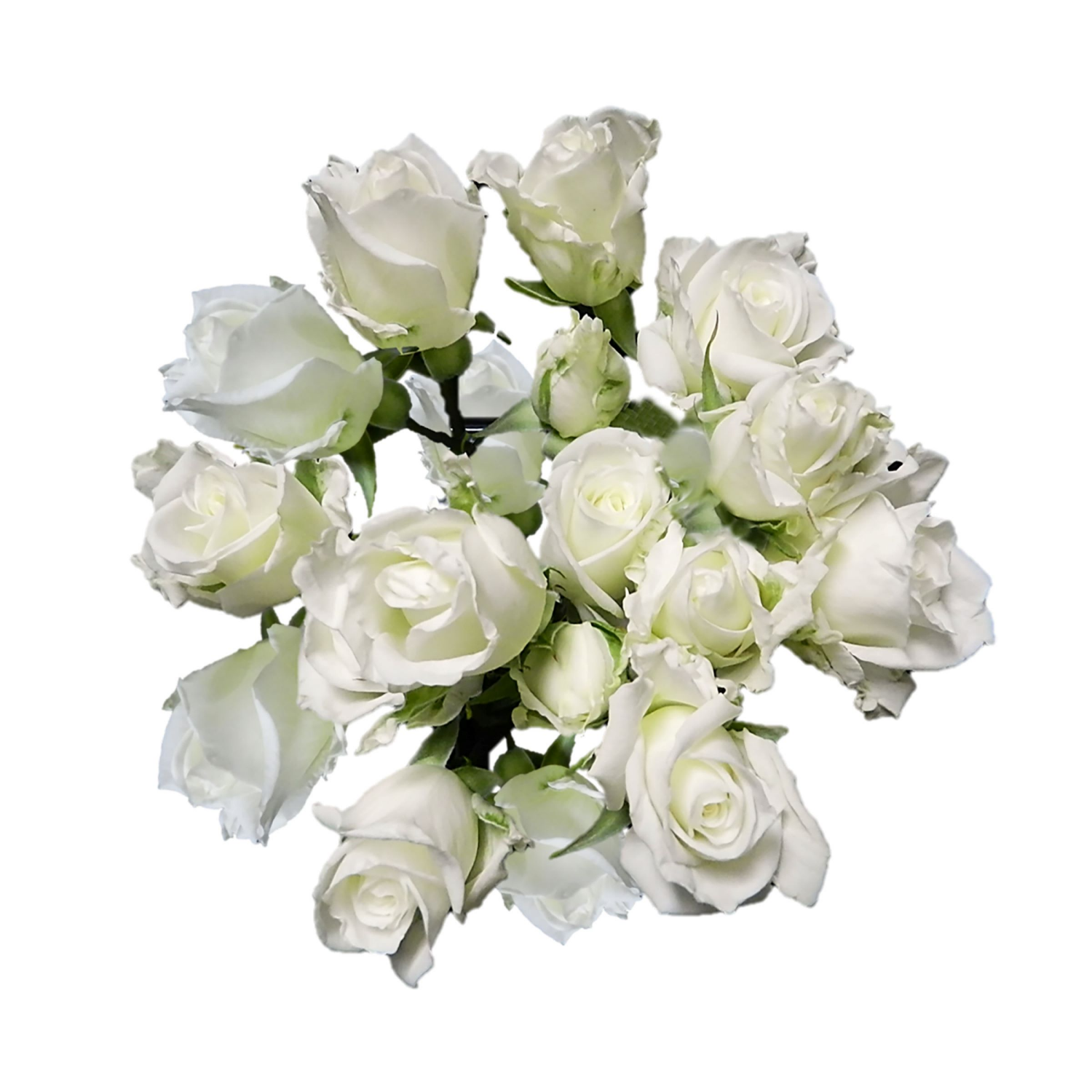 slide 4 of 7, Floral & Vine Spray Rose, Bunch, 1 ct