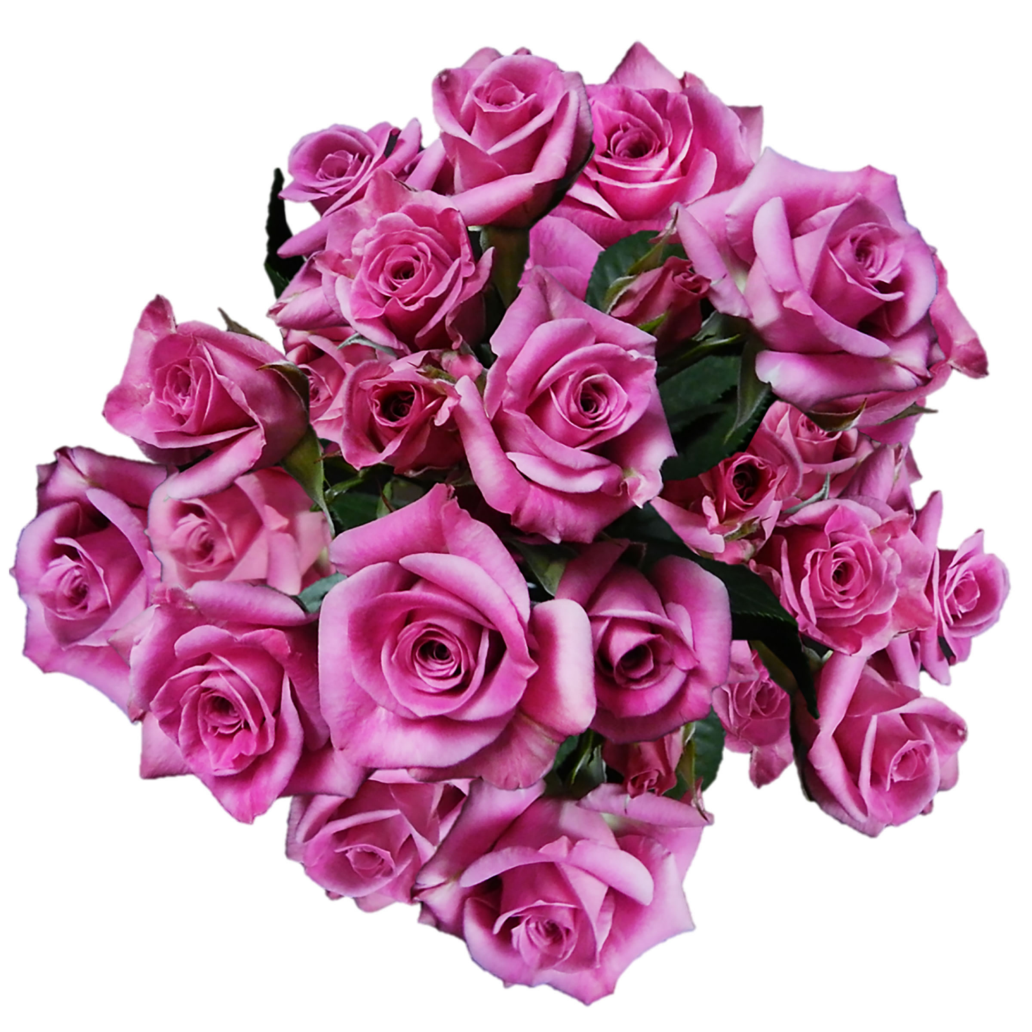 slide 5 of 7, Floral & Vine Spray Rose, Bunch, 1 ct