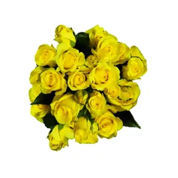 Floral & Vine Spray Rose, Bunch