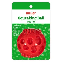 Meijer Squeaker Ball Dog Toy