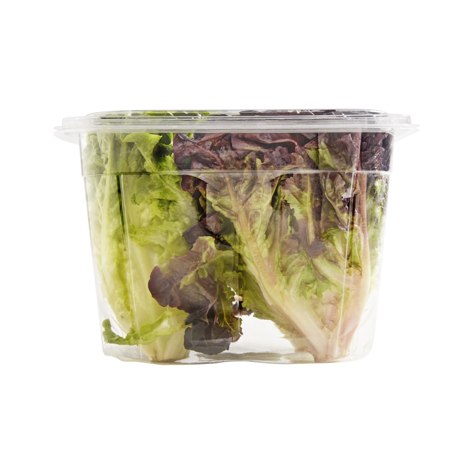 slide 2 of 7, Frederiks By Meijer Artisan Lettuce Heads, 4 ct, 4 ct