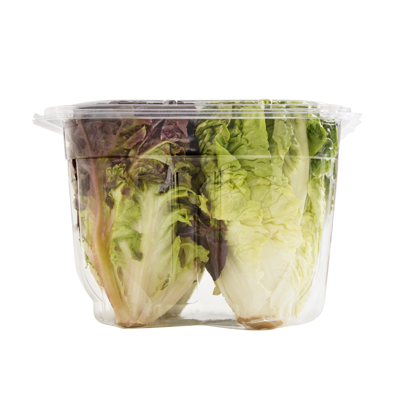 slide 4 of 7, Frederiks By Meijer Artisan Lettuce Heads, 4 ct, 4 ct