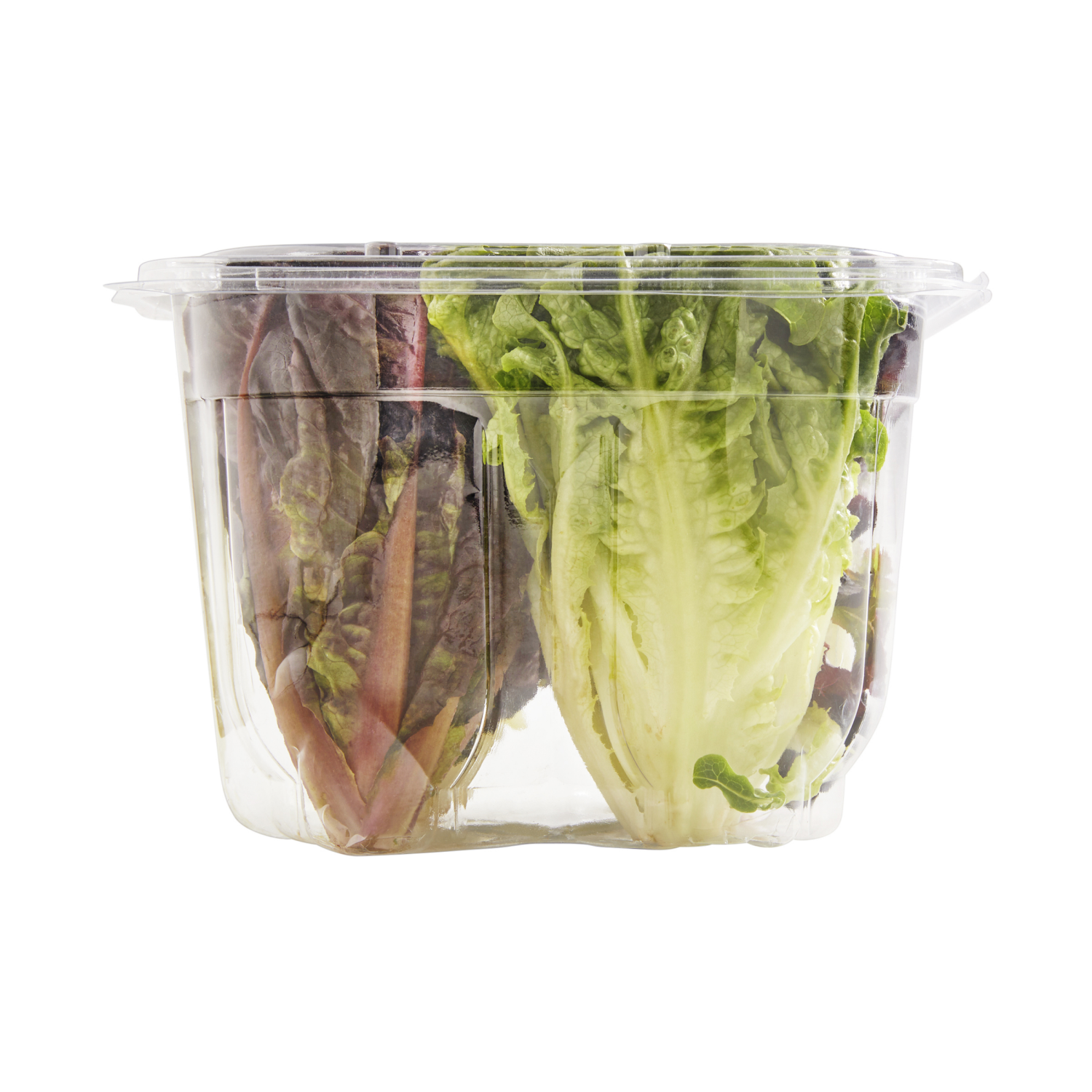 slide 5 of 7, Frederiks By Meijer Artisan Lettuce Heads, 4 ct, 4 ct