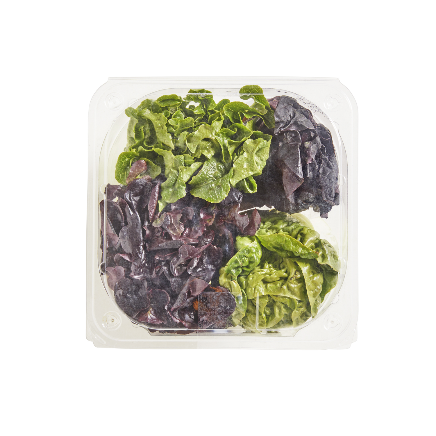 slide 7 of 7, Frederiks By Meijer Artisan Lettuce Heads, 4 ct, 4 ct