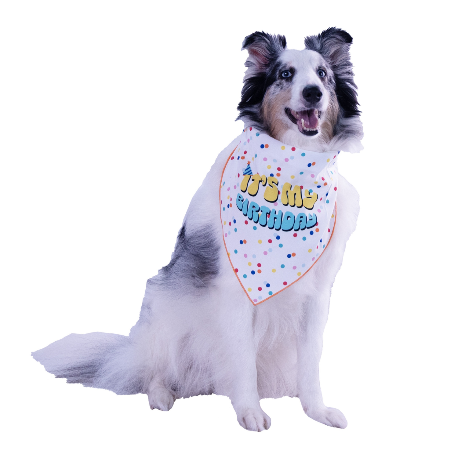 slide 3 of 3, Meijer It's My Birthday Pet Bandana M/L, 1 ct
