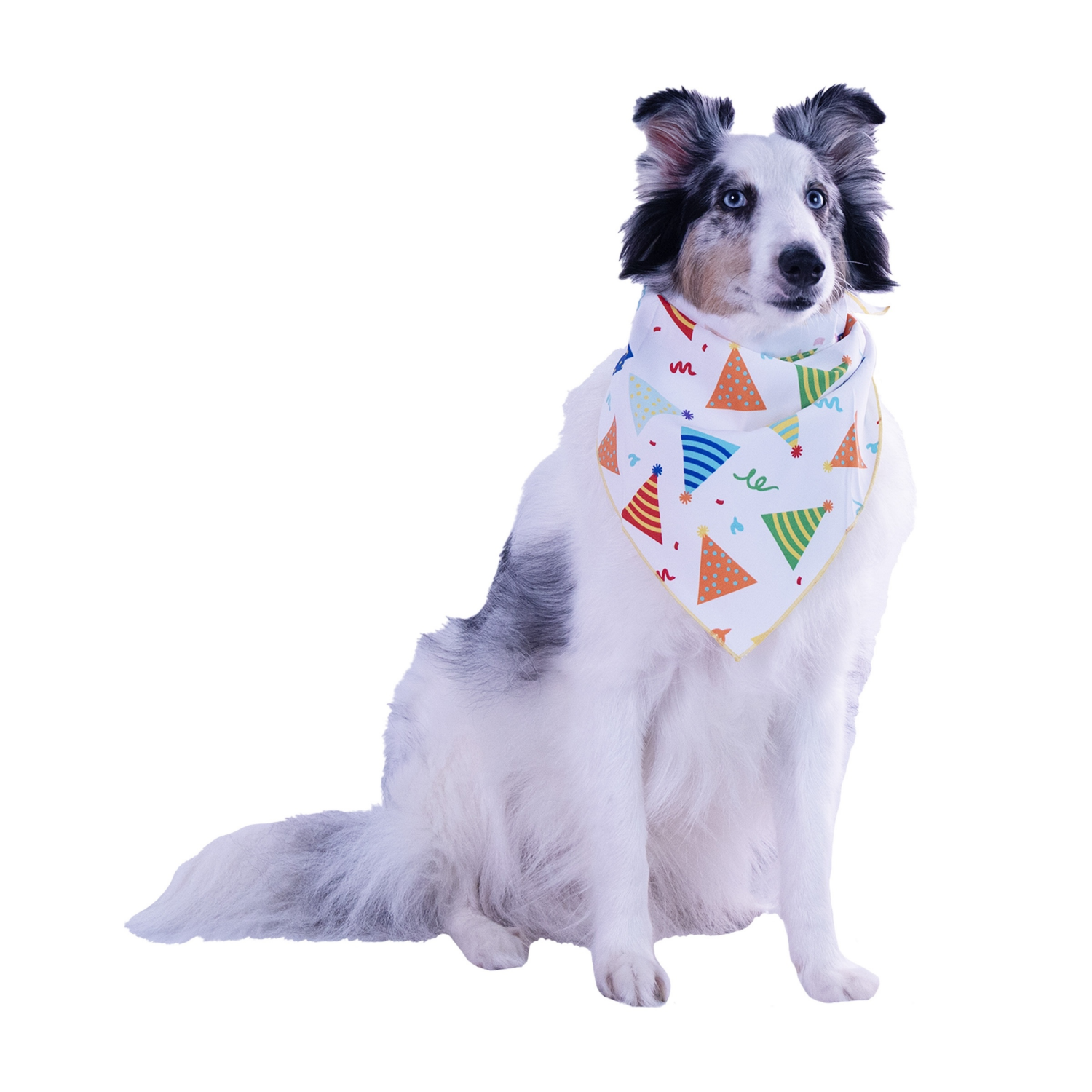 slide 3 of 3, Meijer Pet Party Hat Bandana M/L, 1 ct