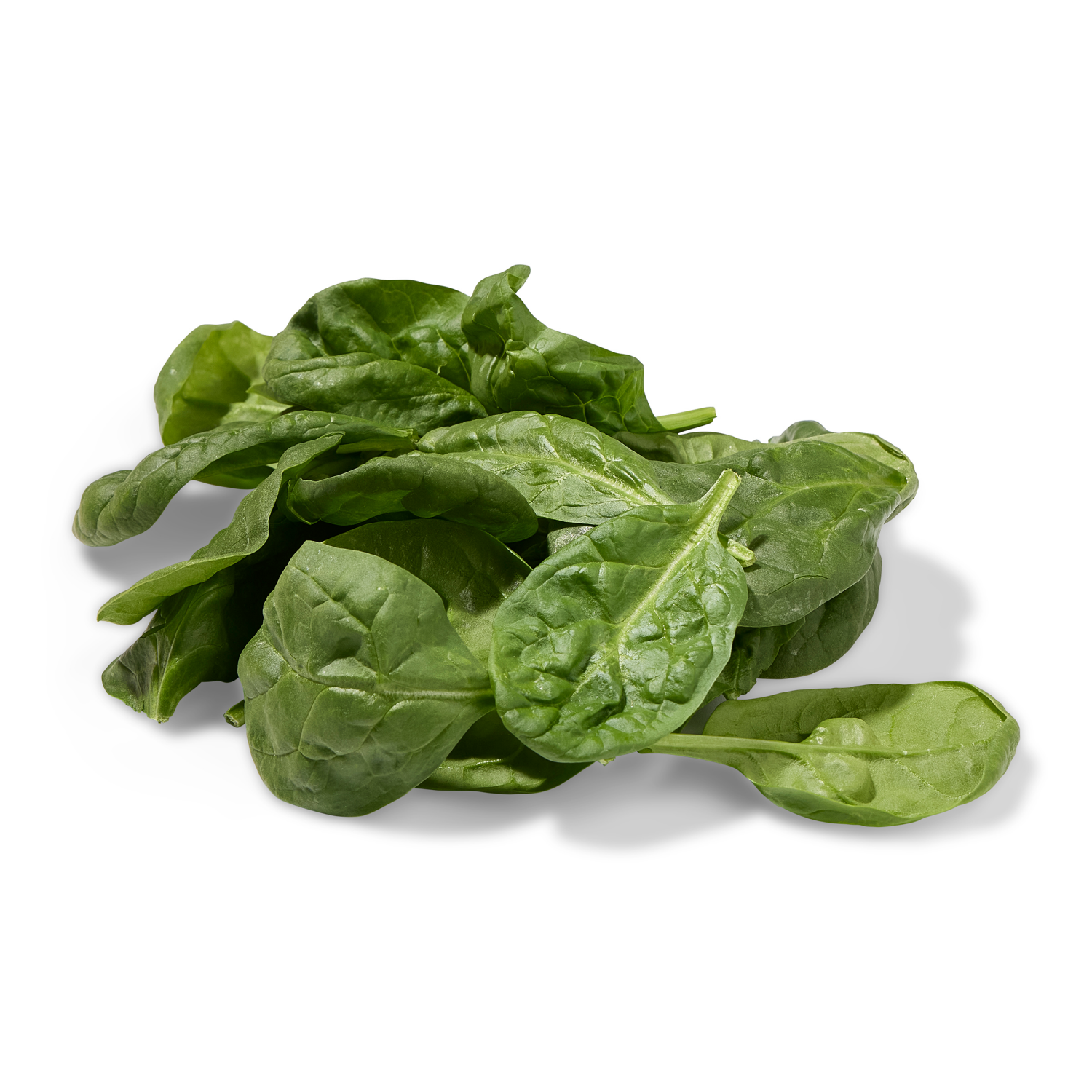 slide 3 of 3, Fresh From Meijer Baby Spinach 6 oz, 6 oz