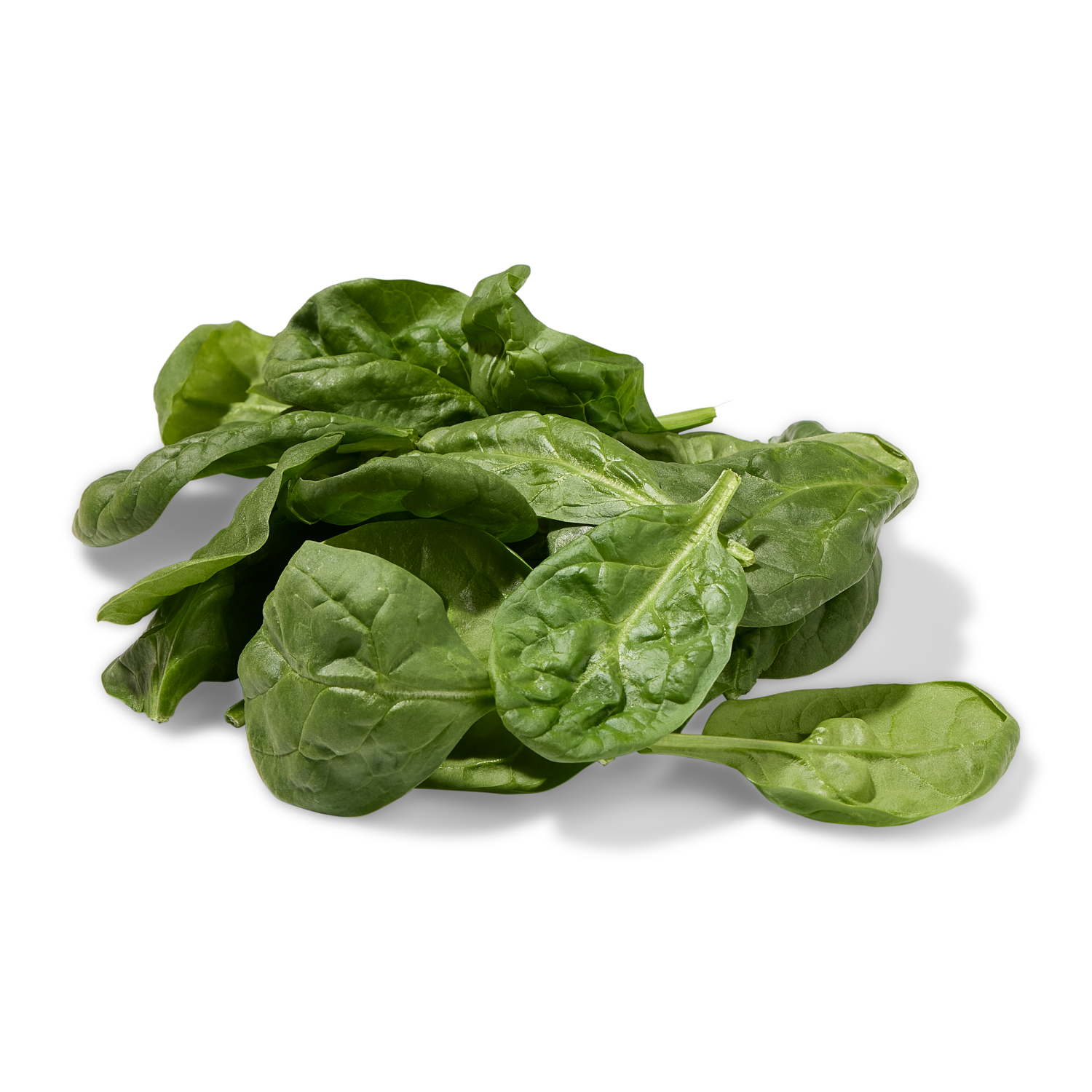 slide 3 of 3, Fresh From Meijer Family Size Spinach 16 oz, 16 oz