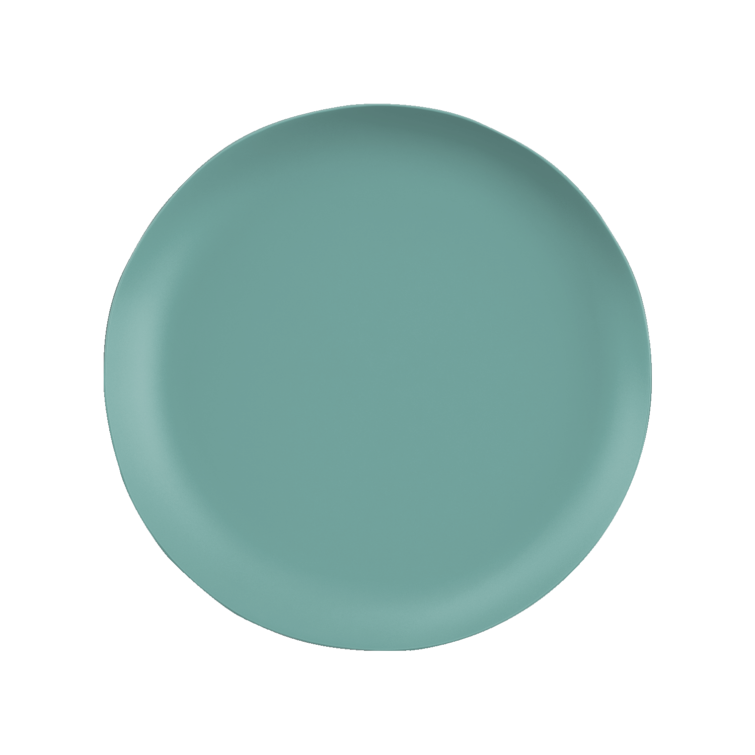 slide 1 of 1, ROOM & RETREAT RR MELAMINE DINNER PLATE SAGE, 1 ct
