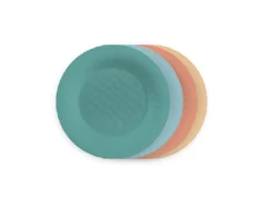 ROOM & RETREAT RR PLASTIC DINNER PLATE 4PK MULTI COLOR