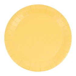 Meijer Mjr Sun Yellow 9 In Dinner Plate 20 Ct