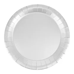 Meijer Mjr Silver 9 In Dinner Plate 20 Ct