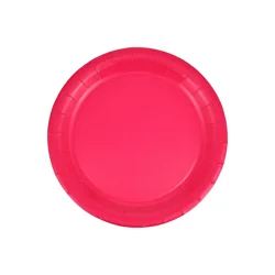 Meijer Poppy Pink Lunch Plates
