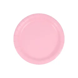 Meijer Baby Pink Lunch Plates