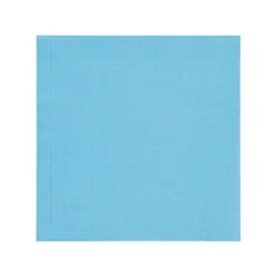 Meijer Powder Blue Lunch Napkins