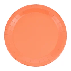 Meijer Apricot Dinner Plates