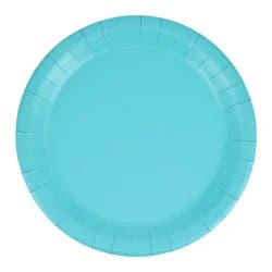 Meijer Turquoise Dinner Plates