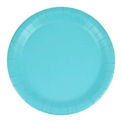 Meijer Turquoise Dinner Plates