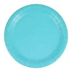 Meijer Turquoise Dinner Plates